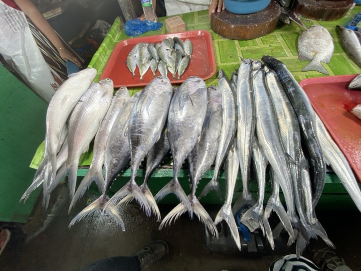 フィリピン、セブ島の魚がカルボン・マーケットで売りに出されている