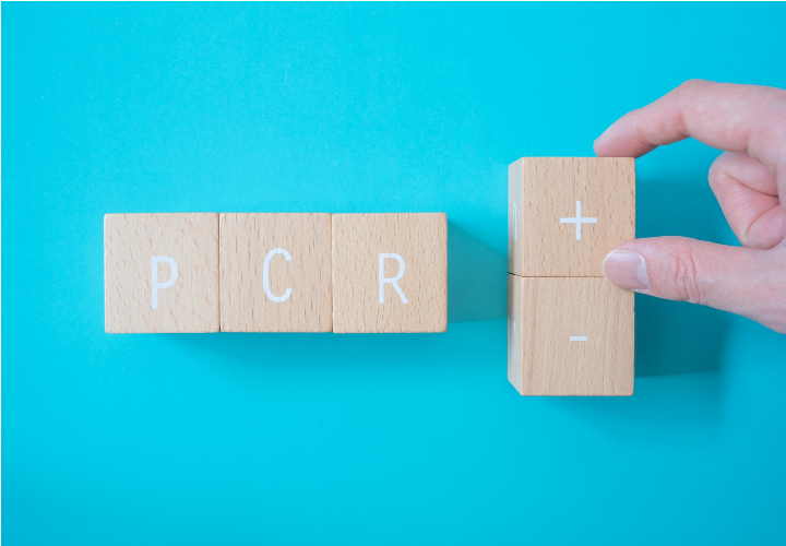 積み木で表した文字「PCR」とあ「+-」